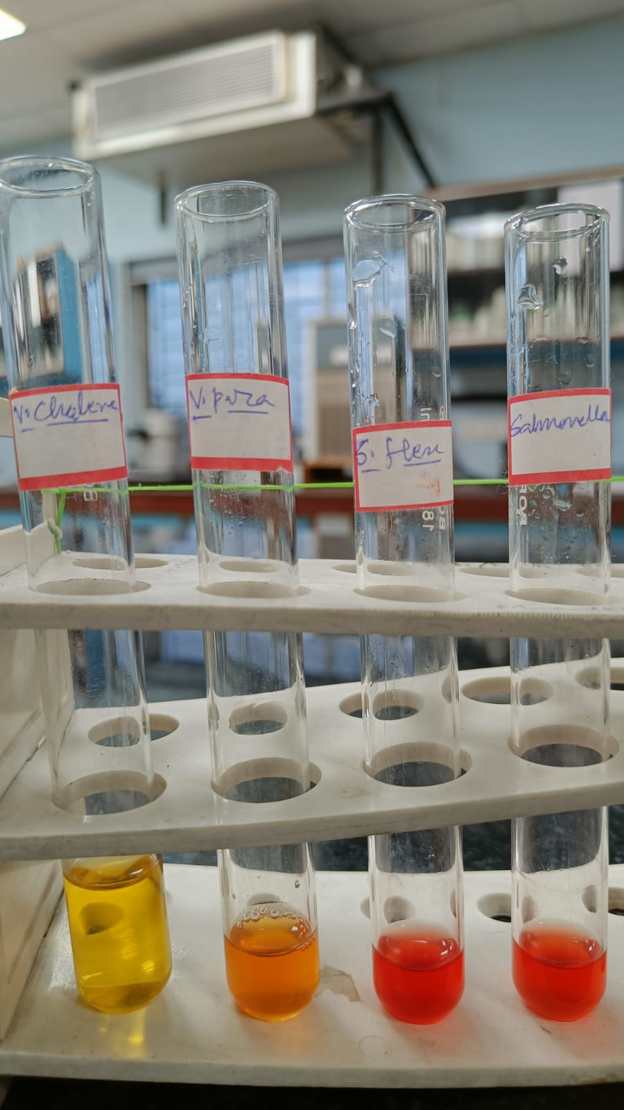 Microbiology Department