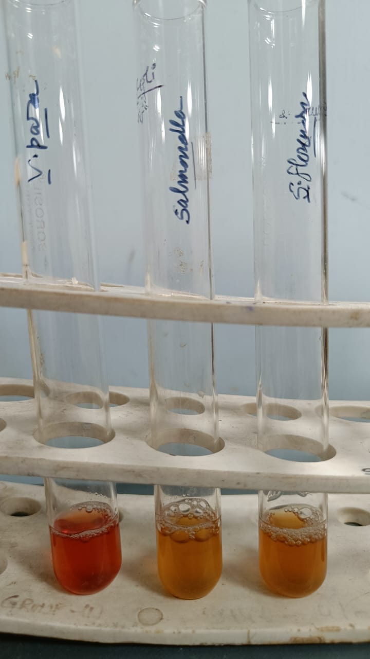 Microbiology Department